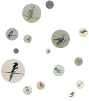 V&ouml;gel &Uuml;bersicht_1