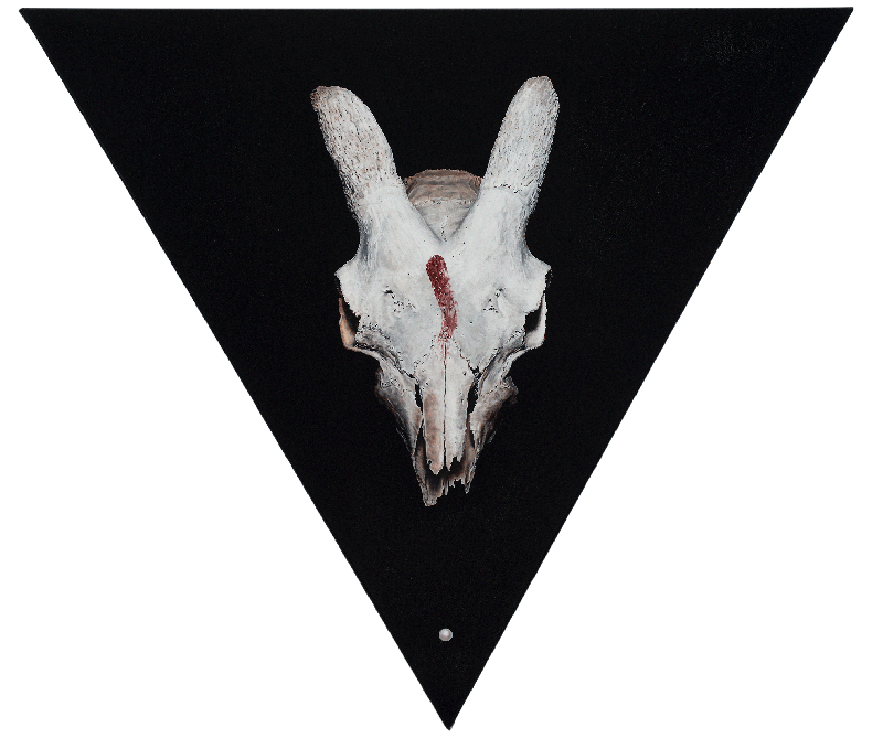 Culpula