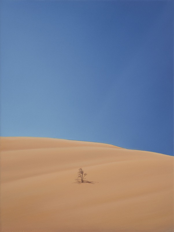 Ein Tag in Liwa IV